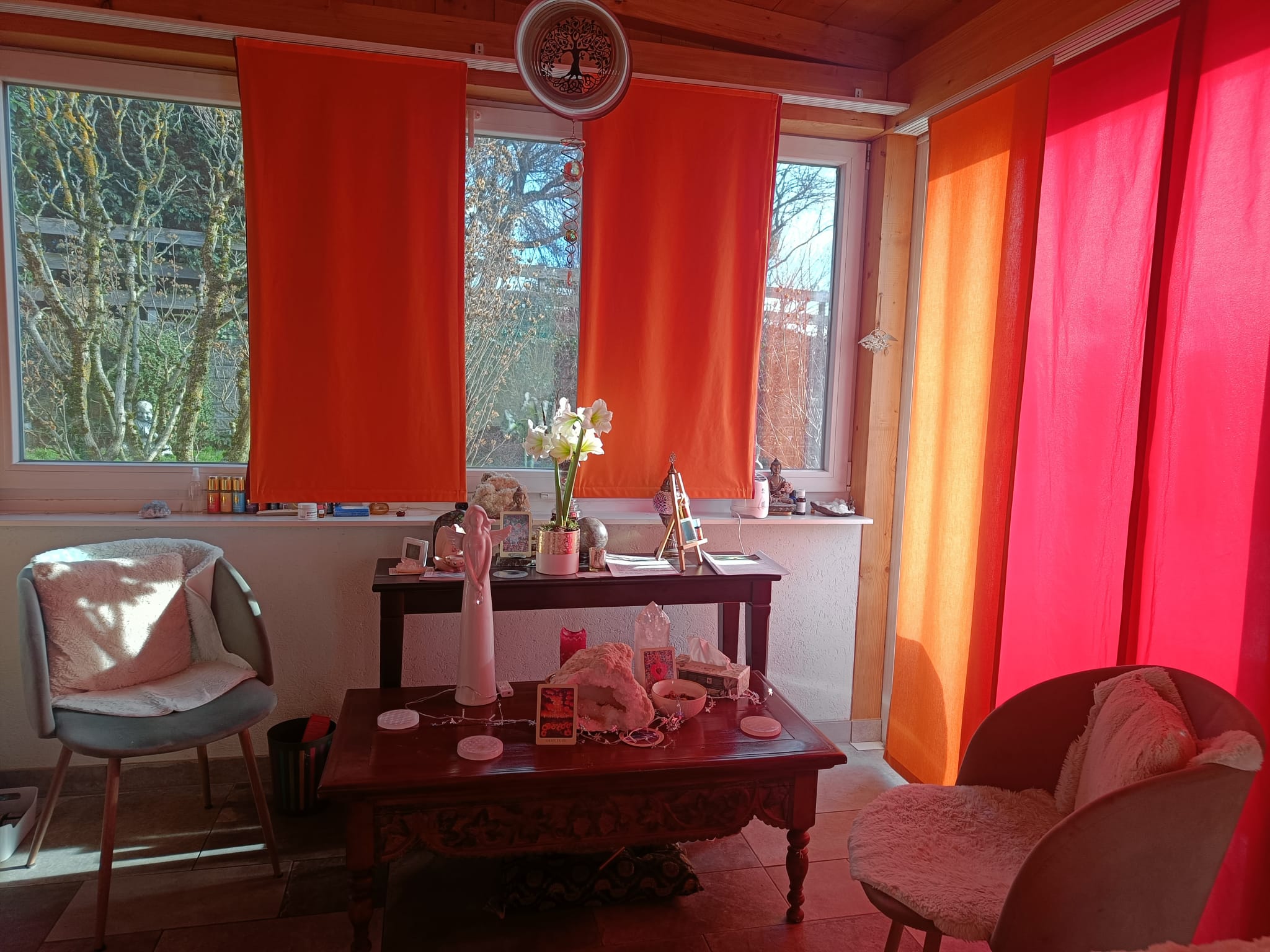 Cabinet Terre des Anges — photo 2