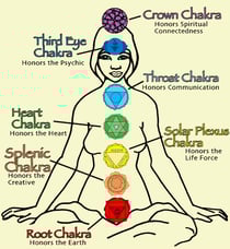 Narde de l’Himalaya (photo)